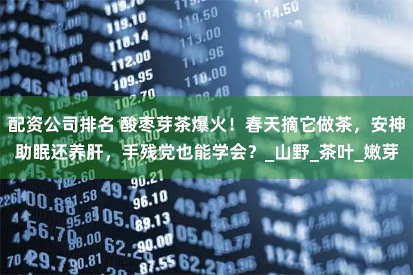 配资公司排名 酸枣芽茶爆火！春天摘它做茶，安神助眠还养肝，手残党也能学会？_山野_茶叶_嫩芽