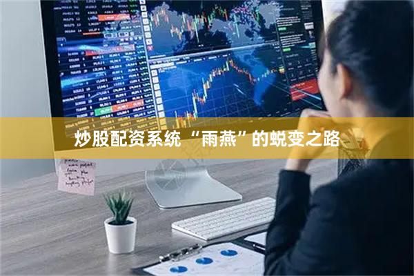 炒股配资系统 “雨燕”的蜕变之路